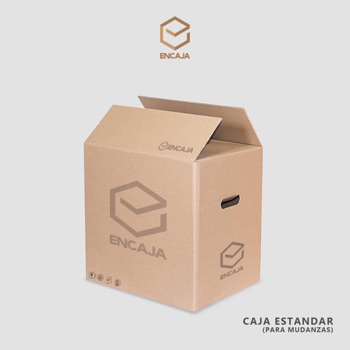 Ficha técnica caja para botellas 0,70L