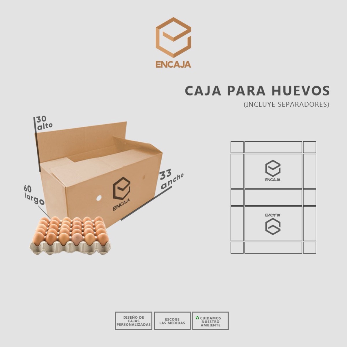 Ficha técnica caja para 30 huevos