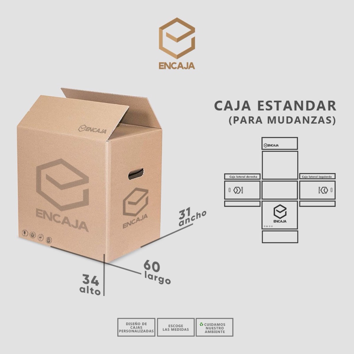 Ficha técnica caja de mudanza